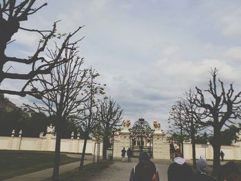 Bare trees against cloudy sky