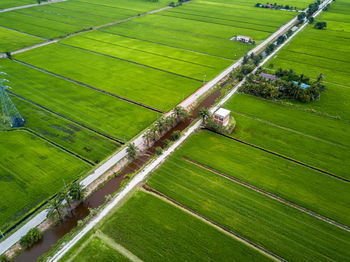 Aerial view of agricultural field