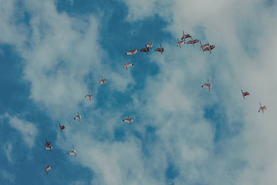 Low angle view of birds flying in sky