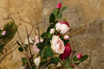 Close-up of roses blooming against tree