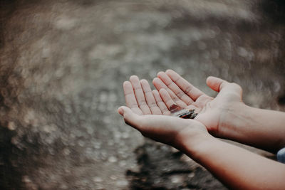 Cropped hands holding leaves over water