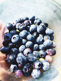 High angle view of berries