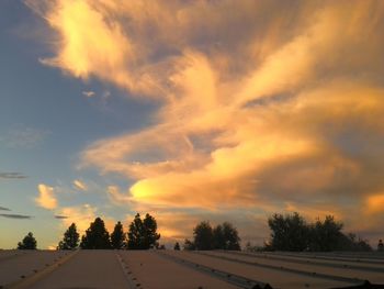 Low angle view of silhouette trees against sky during sunset