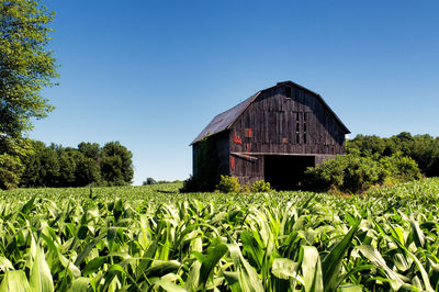 Barn on field against clear sky