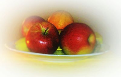 Close-up of fruits on white background