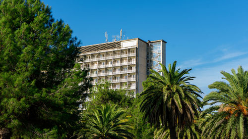 Low angle view of palm trees and building against blue sky