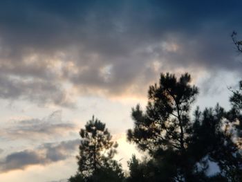 Low angle view of trees against cloudy sky