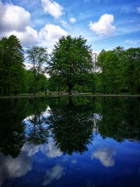 Reflection of trees in lake against sky