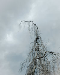 Low angle view of bare tree against sky