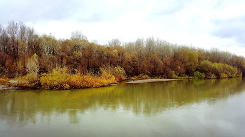 Scenic view of lake in forest during autumn