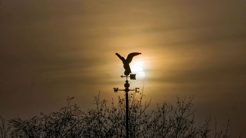 Silhouette weather vane sky during sunset