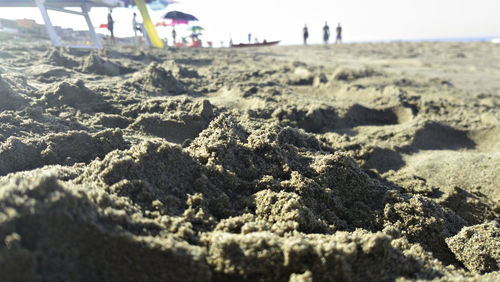 Surface level of sandy beach