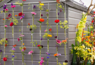 Close-up of potted plants hanging on wall