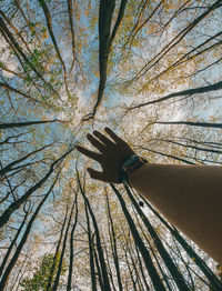 Cropped hand against trees at forest during autumn