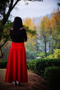 Rear view of a woman standing in forest