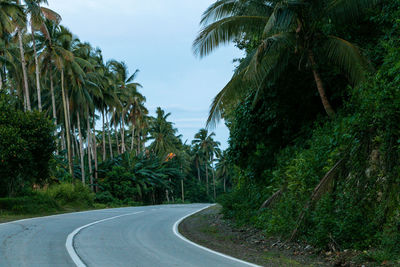 Road amidst trees against sky