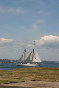 Sailboats sailing in sea against sky