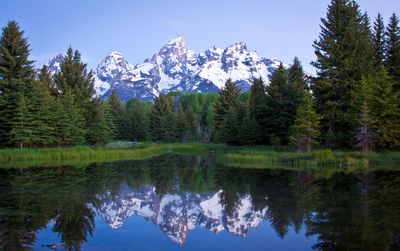 Reflection of trees in lake