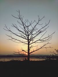 Silhouette tree by sea against sky during sunset