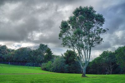 Scenic view of grassy field against cloudy sky