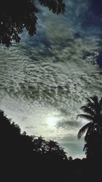 Silhouette of trees against cloudy sky