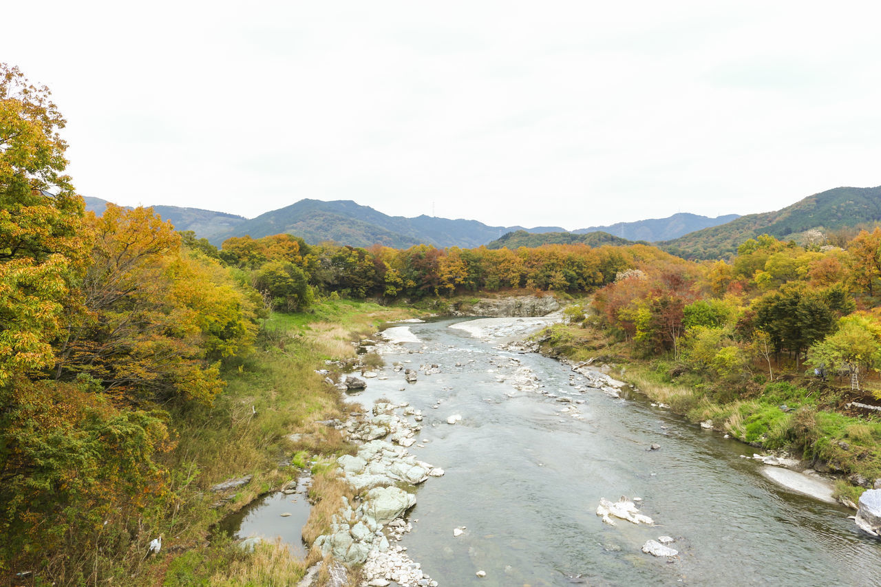 SCENIC VIEW OF LANDSCAPE AGAINST SKY DURING AUTUMN