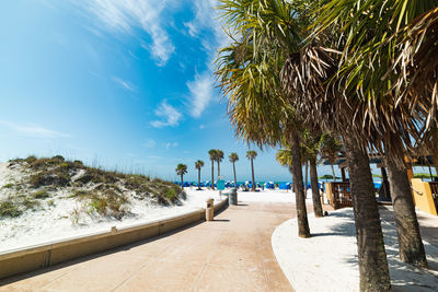 Palm trees on beach against sky