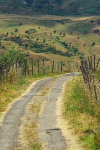 Road passing through field