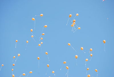 Low angle view of balloons flying against clear blue sky during sunny day