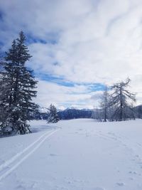 Snow covered land and trees against sky