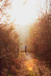 Rear view of person walking on footpath during autumn