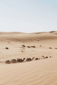 Scenic view of desert against clear sky