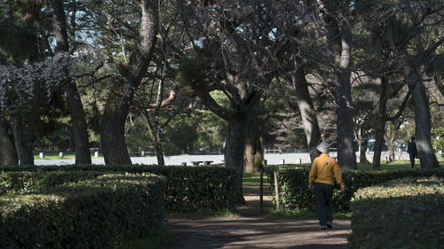 Rear view of woman walking on field
