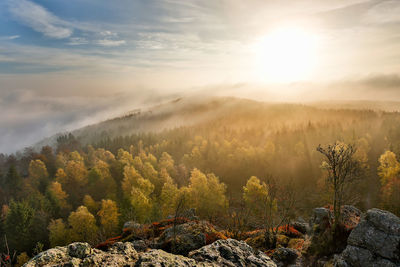 Scenic view of landscape against sky during sunset