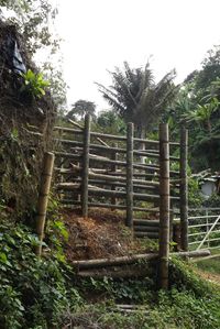 Fence on wooden fence