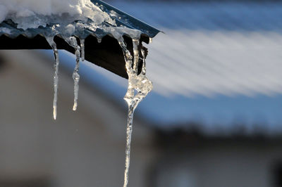 Close-up of icicles on roof during winter