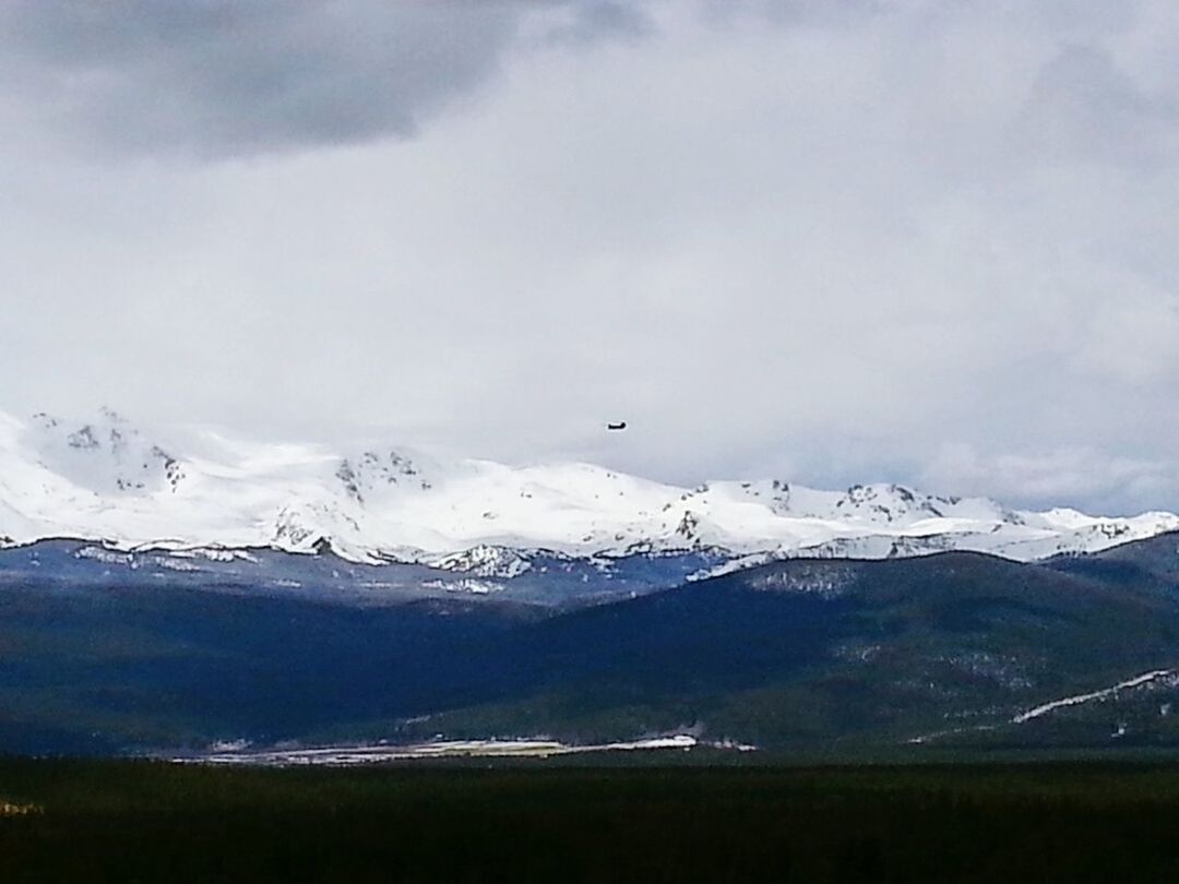 FLOCK OF BIRDS ON MOUNTAIN AGAINST SKY