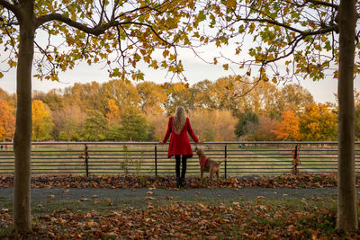 Rear view of woman standing by trees during autumn