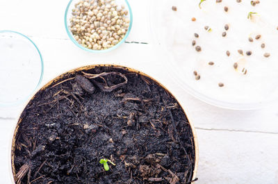 High angle view of coffee beans in bowl on table