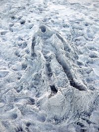 Footprints on sandy beach