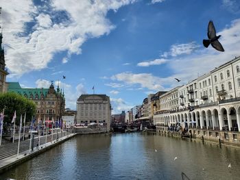 Birds flying over canal in city