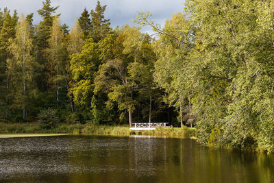 Scenic view of lake in forest