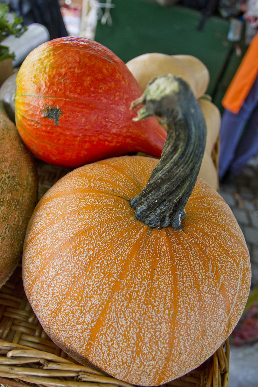 CLOSE-UP OF PUMPKINS IN MARKET