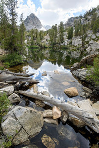 Scenic view of lake in forest