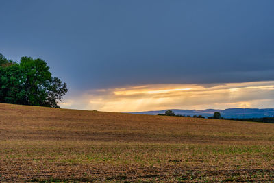 Scenic view of field against sky during sunset