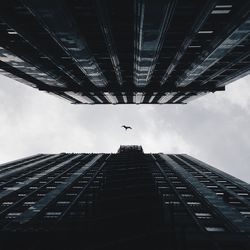 Directly below shot of bird flying amidst skyscrapers