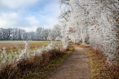 Road amidst trees on field against sky
