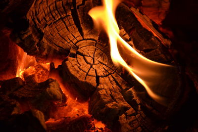 Close-up of bonfire at night