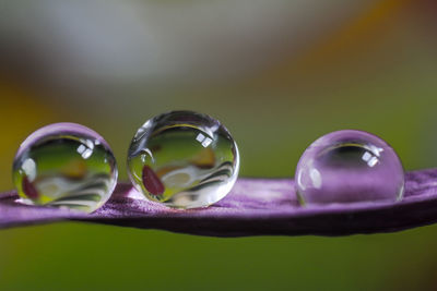 Close-up of bubbles in water