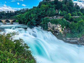 Scenic view of waterfall in forest